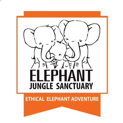 Elephant Jungle